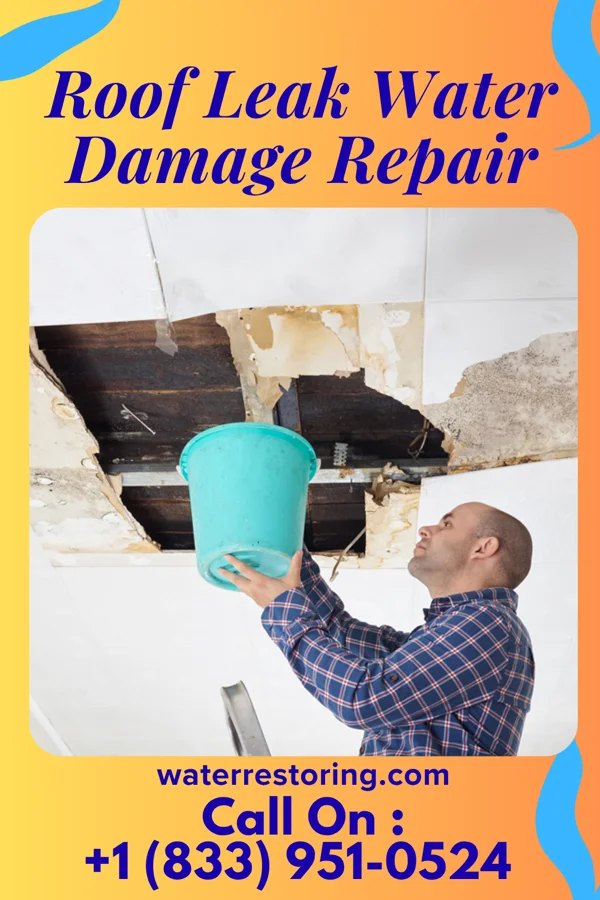 Roof Leak Water Damage Repair in Camp Crook, SD